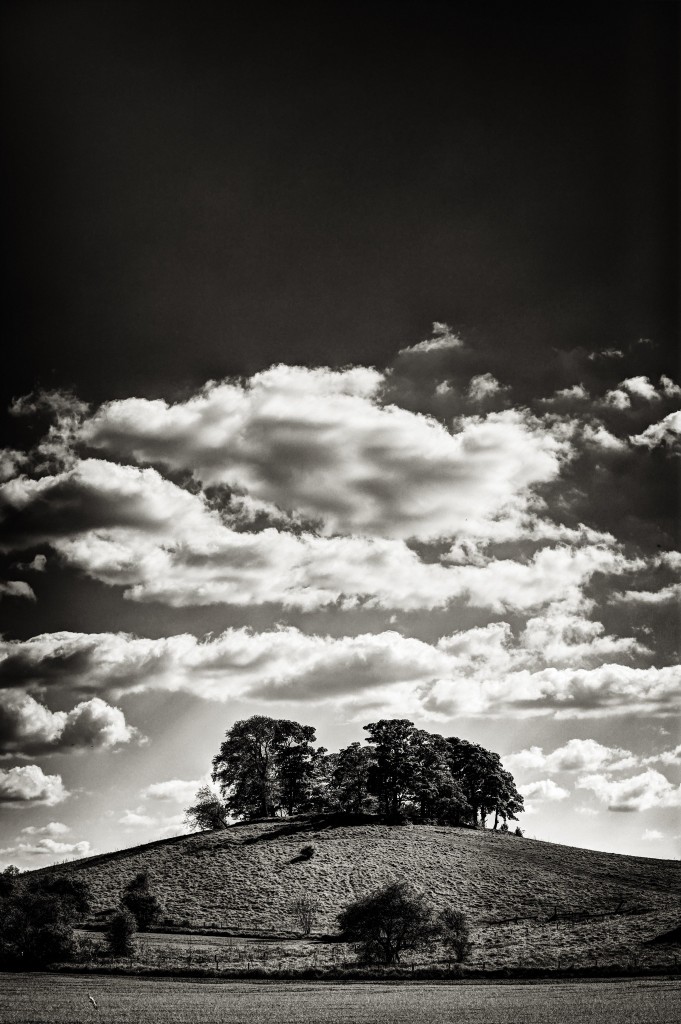 tree_and_clouds